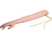 โรงพยาบาลการพยาบาลทางการแพทย์ PVC Venipuncture Injection Arm