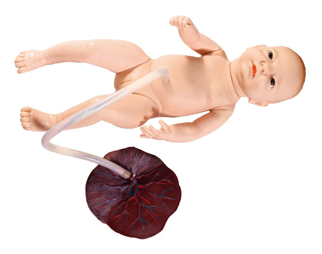 ทารกแรกเกิดขนาดเล็กเพศหญิงที่มีการฝึกอบรมการทำหมันสายสะดือรูปแบบของทารกในครรภ์