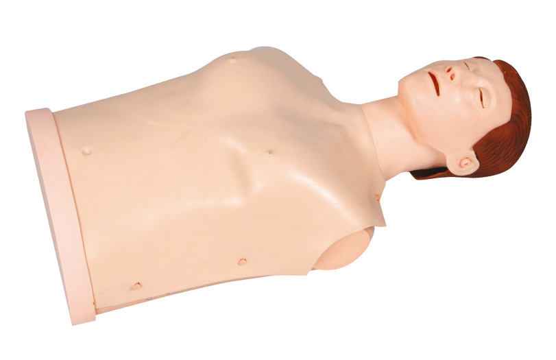 Manikins ช่วยเหลือปฐมพยาบาลแบบง่ายๆพร้อมด้วยเคล็ดลับเสียงเตือน, Dummies การฝึก CPR สำหรับครึ่ง Body Body