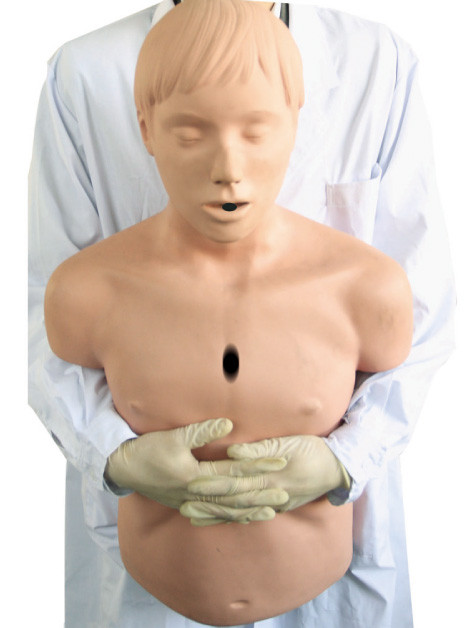 Half-Body Airway Model / CPR Resuscitation Manikin สำหรับ Heidegger First Aid สำหรับผู้ใหญ่
