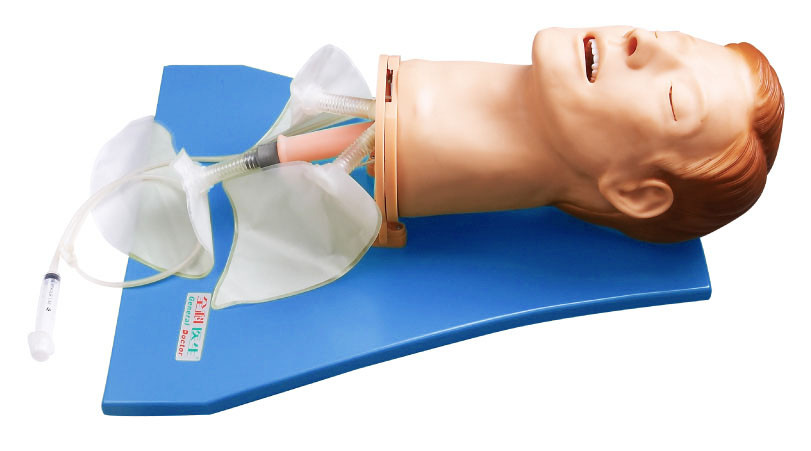 EMS Simulator / Airway training manikins สำหรับการฝึกอบรมการเคลื่อนไหวทางเดินหายใจในปอด