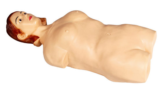 หญิงครึ่ง - ร่างกาย Palpation Simulator Manikin สำหรับวิทยาลัยการเรียนรู้โรงพยาบาล